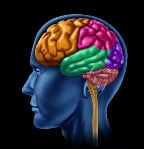 DCabo Consultores - Neuromarketing