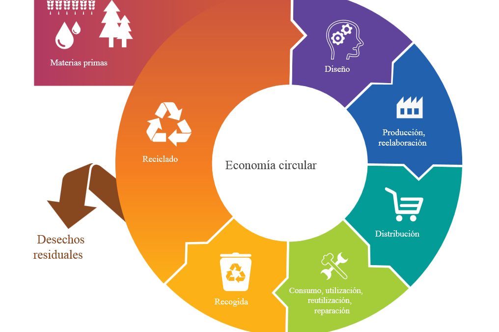 ¿Qué es la economía circular?